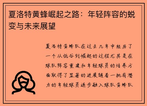 夏洛特黄蜂崛起之路：年轻阵容的蜕变与未来展望