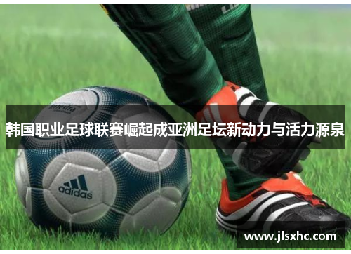 韩国职业足球联赛崛起成亚洲足坛新动力与活力源泉